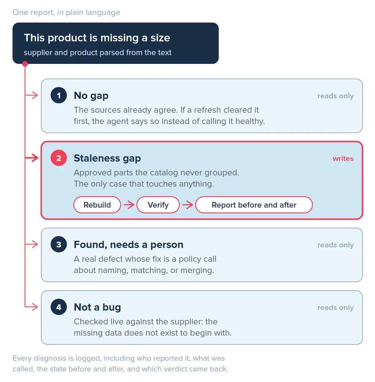 One plain-language report, such as 'this product is missing a size', fans out to four verdicts: no gap (reads only), staleness gap (writes: rebuild, verify, report before and after), found but needs a person (reads only), and not a bug (reads only).